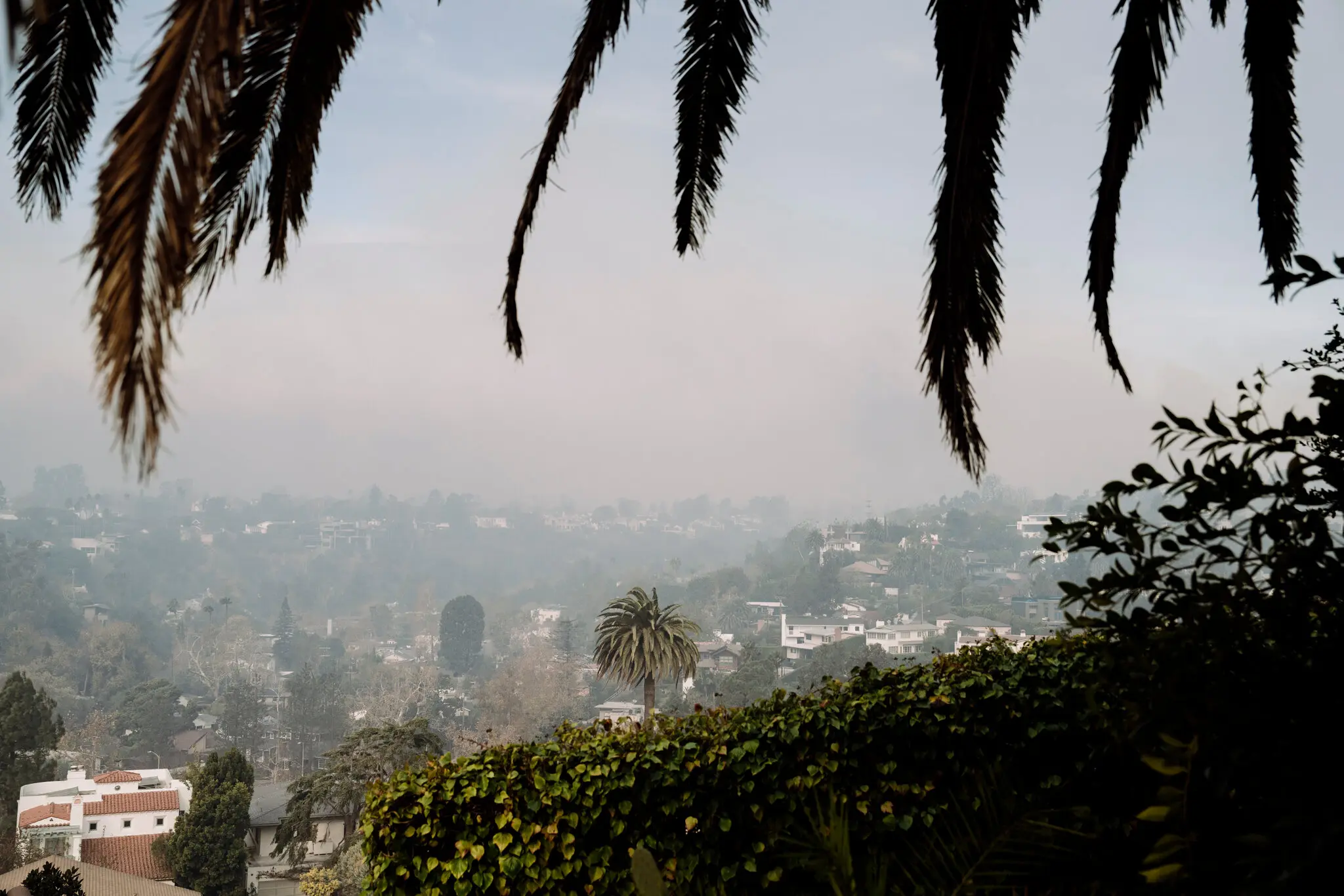 Лісові пожежі в Лос-Анджелесі: відомі зірки серед тих, хто втратив свої домівки